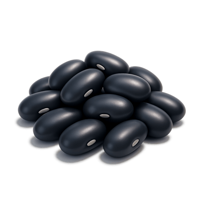 Icon of Black Beans (Dry)