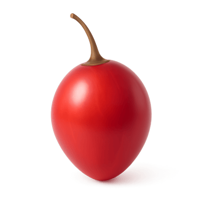 Icon of Tamarillo