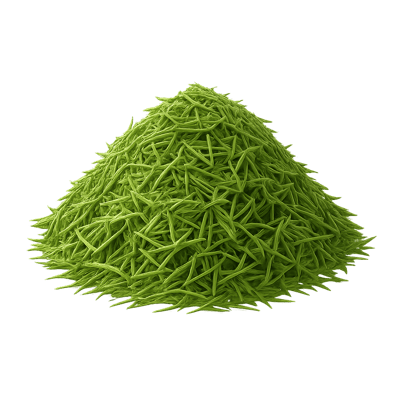 Icon of Dill (Dried)