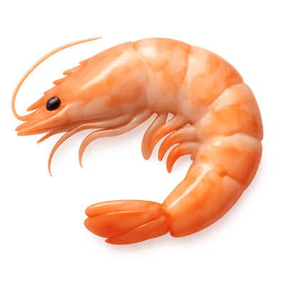 Icon of Prawn (Raw)