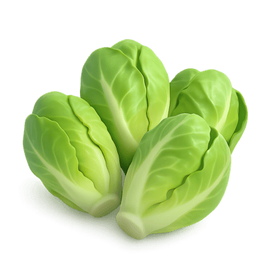 Icon of Little Gem Lettuce
