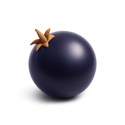 Icon of Blackcurrant