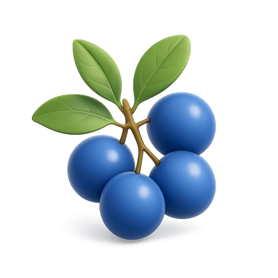 Icon of Sloe Berries