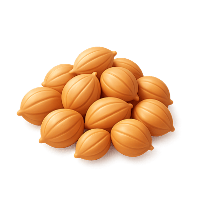 Icon of Coriander Seeds