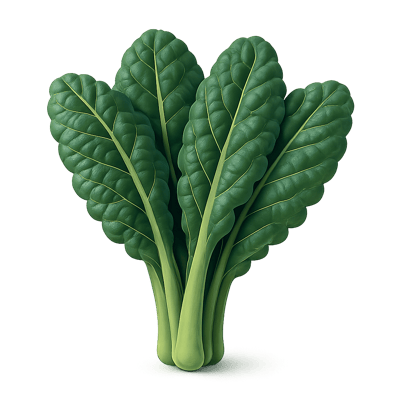 Icon of Tuscan Kale
