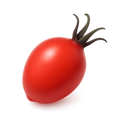 Icon of Rosehip