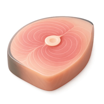 Icon of Swordfish Steak (Raw)