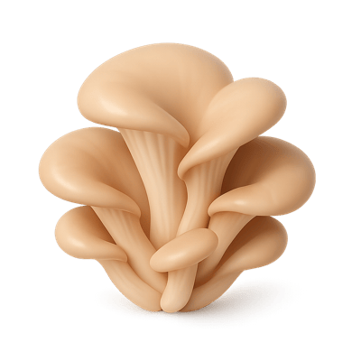 Icon of Oyster Mushrooms