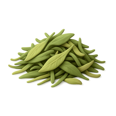 Icon of White Tea Leaves