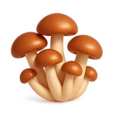 Icon of Pioppino Mushrooms