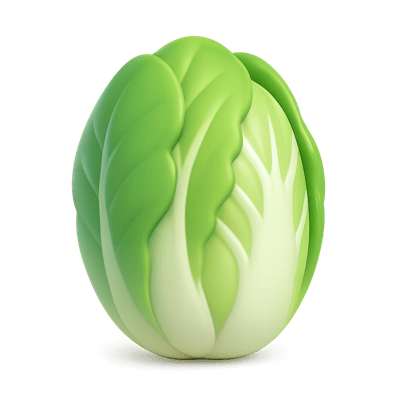 Icon of Napa Cabbage