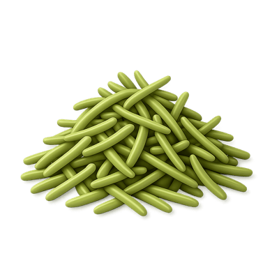 Icon of Rosemary (Dried)