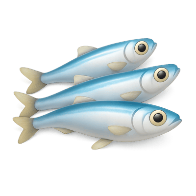 Icon of Anchovies (Fresh)
