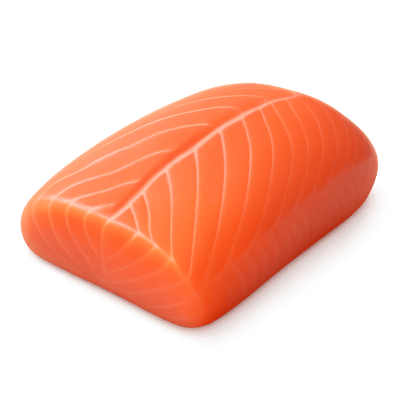 Icon of Arctic Char Fillet (Raw)